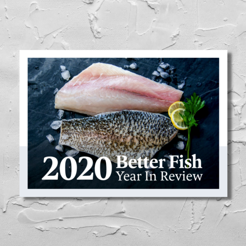 2020 Year in Review | The Better Fish® Barramundi by Australis Aquaculture
