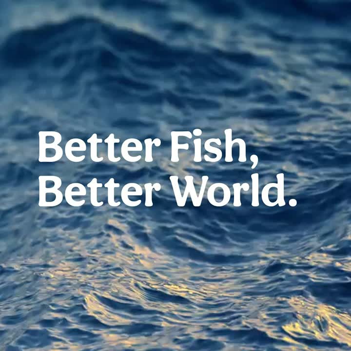 At #TheBetterFish we implement environmentally-conscious and scalable alternatives to raise high-quality, nutritious fish while promoting #biodiversity, #genderequality, and the recovery of sensitive wild fisheries. 🐟 It's why we believe our #barramundi is the better fish for a better world 🌍 

Learn more about our mission in our Stories 🔗

#sustainableseafood #sustainability #buildabetterworld #ecofriendly