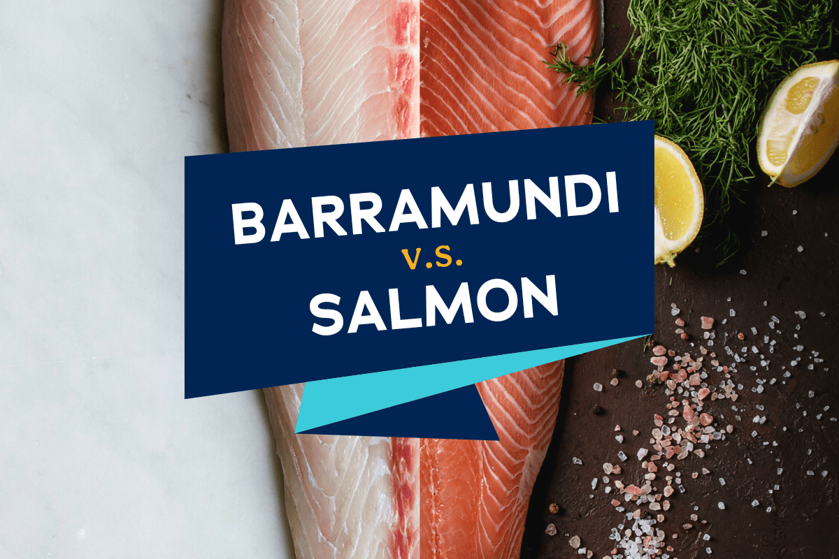 Barramundi versus Salmon